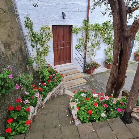Casa Betania Da Peppe Villa Sorrento Exterior photo