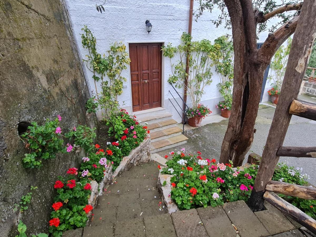 Casa Betania Da Peppe Casa vacanze *